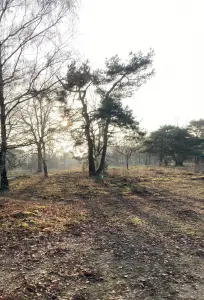 Ina 02 Poging van de zon